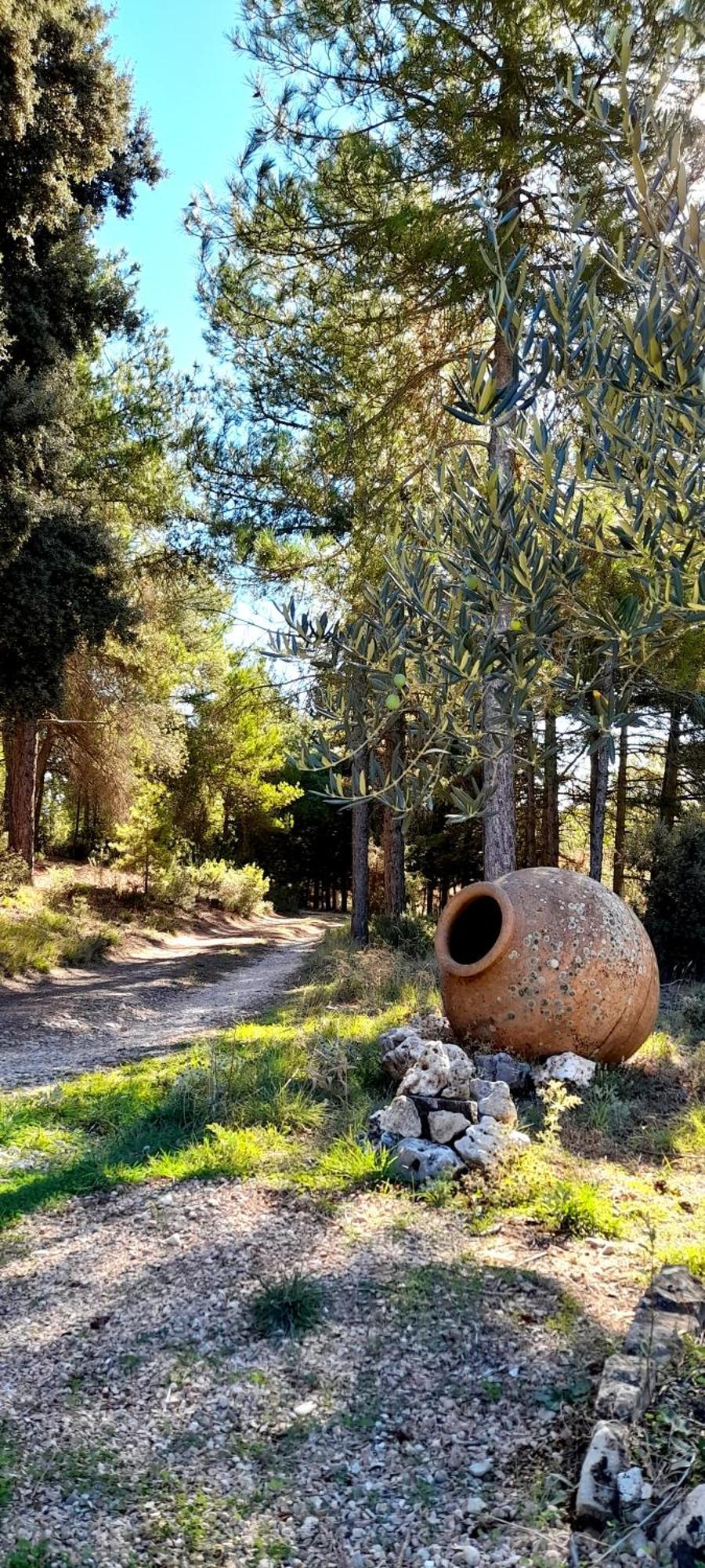 Villa Sanz Cuenca  Eksteriør bilde